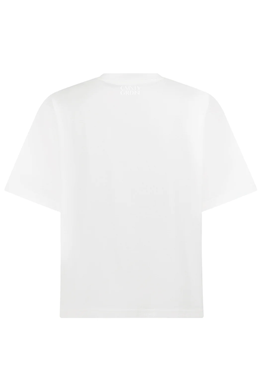 PLAIN T - Image 1